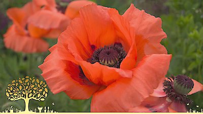 Gardeners' World Season 55 Episode 13