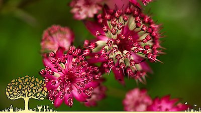 Gardeners' World Season 55 Episode 14