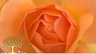 Gardeners' World Season 55 Episode 17