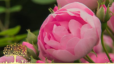 Gardeners' World Season 55 Episode 16