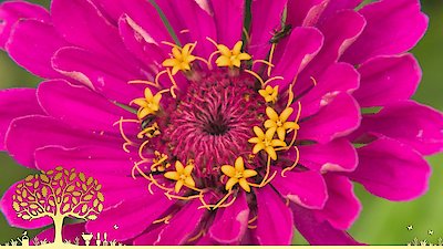 Gardeners' World Season 55 Episode 18