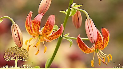 Gardeners' World Season 55 Episode 20