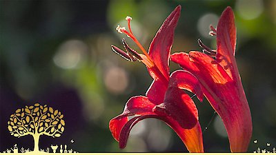 Gardeners' World Season 55 Episode 22