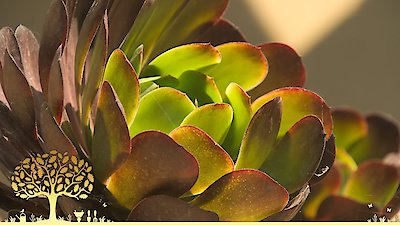 Gardeners' World Season 55 Episode 23