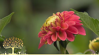 Gardeners' World Season 55 Episode 24