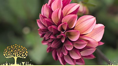 Gardeners' World Season 55 Episode 27