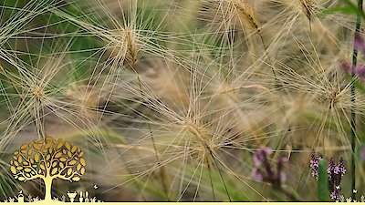 Gardeners' World Season 55 Episode 28