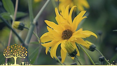 Gardeners' World Season 55 Episode 30