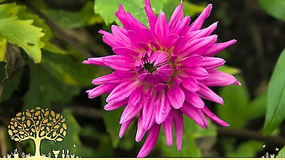 Gardeners' World Season 55 Episode 32