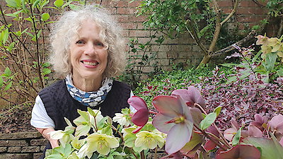 Gardeners' World Season 64 Episode 7