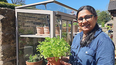 Gardeners' World Season 64 Episode 11