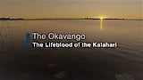 Lifeblood of the Kalahari