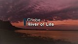 Chobe River of Life