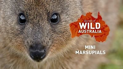 Secrets of Wild Australia Season 1 Episode 5