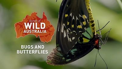 Secrets of Wild Australia Season 1 Episode 6