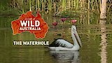 The Waterhole