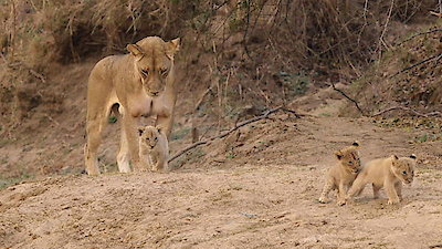 Africa's Hunters Season 1 Episode 3