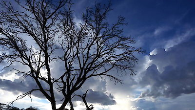 Africa's Hunters Season 1 Episode 6