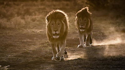 Africa's Hunters Season 2 Episode 2