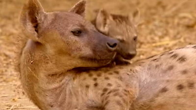 Africa's Hunters Season 2 Episode 4