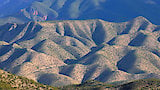 Wild Heart of Sierra Gorda