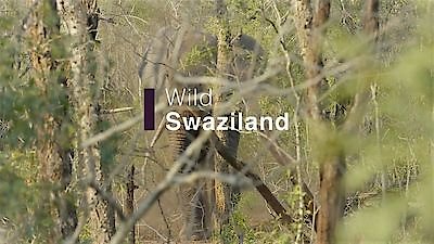 Africa's Wild Horizons Season 1 Episode 4