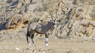 Africa's Wild Horizons Season 2 Episode 2