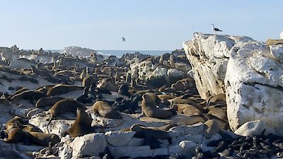 Africa's Wild Horizons Season 2 Episode 3