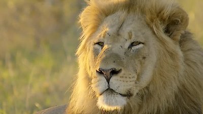 Africa's Wild Horizons Season 2 Episode 5