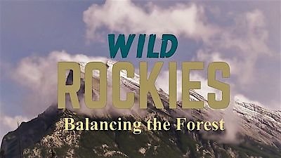 Wild Rockies Season 1 Episode 4