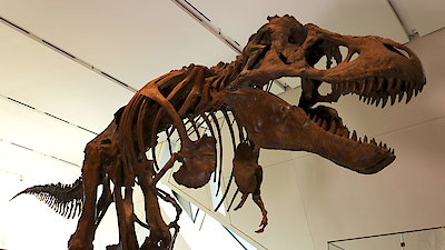 Strange Creatures Season 1 Episode 7