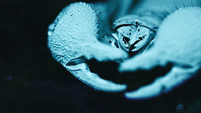 Strange Creatures Season 2 Episode 2