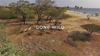 Animal Empires Season 1 Episode 6