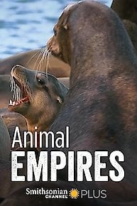 Animal Empires