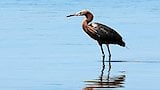 Florida Keys National Marine Sanctuary