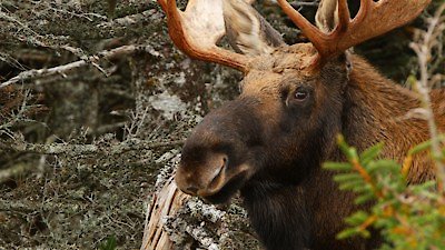 Wild Wild East Season 1 Episode 7