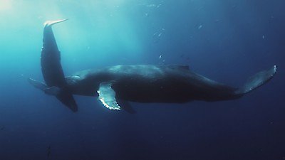 Wild Wild East Season 1 Episode 14