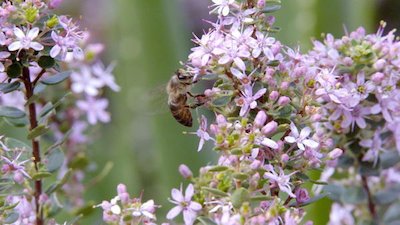 Africa's Hidden Kingdoms Season 1 Episode 6