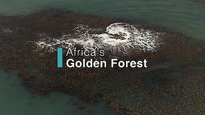 Coastal Africa Season 1 Episode 3