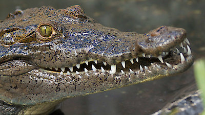 Seasons of the Wild Season 1 Episode 1