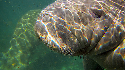 Seasons of the Wild Season 1 Episode 2