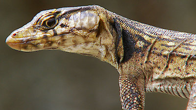 Extreme Africa Season 1 Episode 1