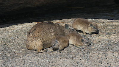 Extreme Africa Season 1 Episode 2