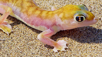 Extreme Africa Season 1 Episode 4