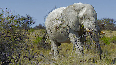 Extreme Africa Season 1 Episode 5