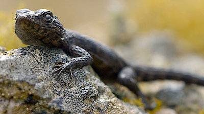 Extreme Africa Season 1 Episode 6