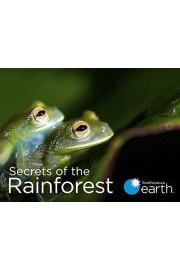 Secrets of the Rainforest