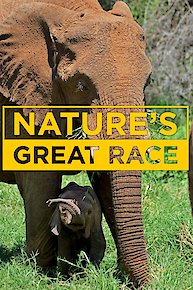 Nature's Great Race