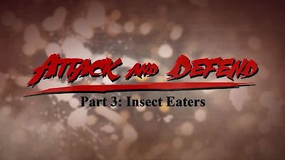Attack and Defend Season 1 Episode 3