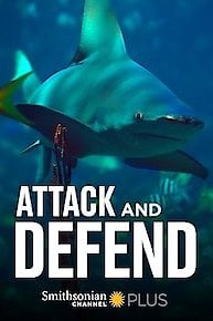 Attack and Defend